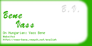 bene vass business card